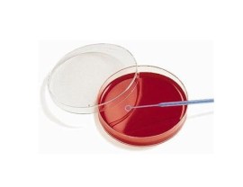 Agar Sangue Em Placas - 10 Placas